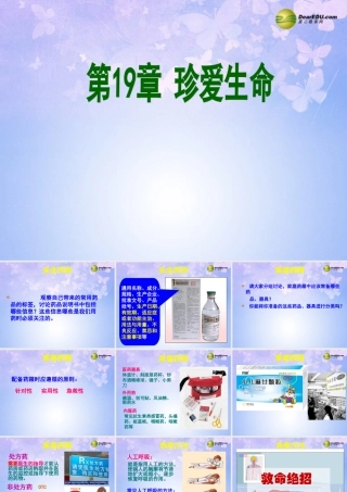 八年级生物上册 珍爱生命课件 苏教版 课件