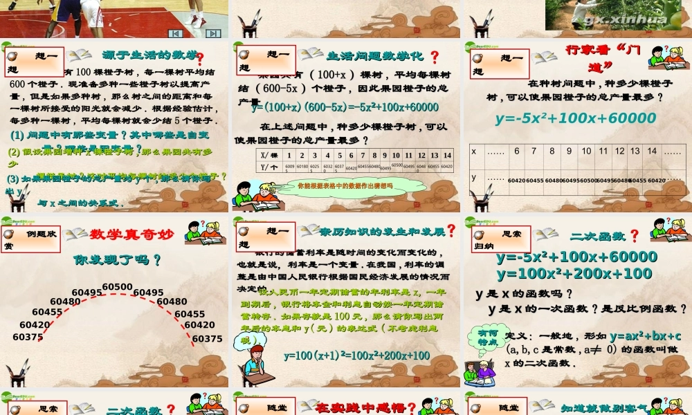 九年级数学下册 第二章(二次函数)课件 北师大版 课件