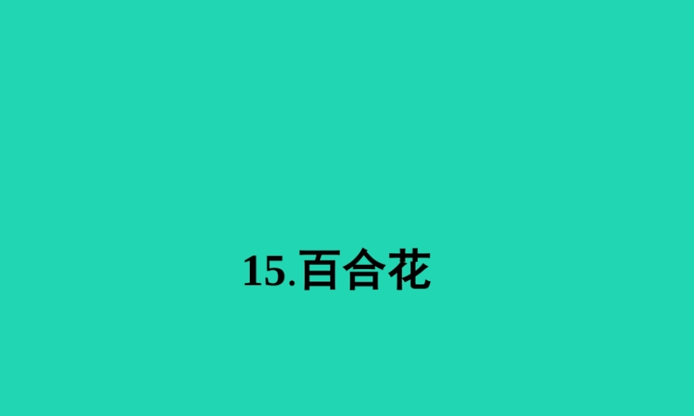九年级语文下册 第四单元 15 百合花课件 语文版 课件