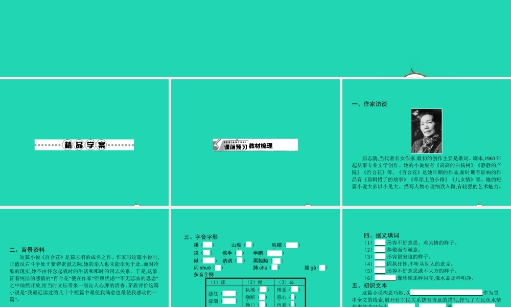 九年级语文下册 第四单元 15 百合花课件 语文版 课件