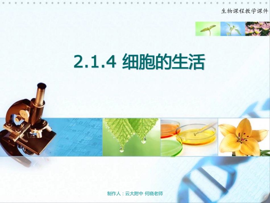 七年级生物上册 细胞的生活课件(pdf) 新人教版 课件_第2页