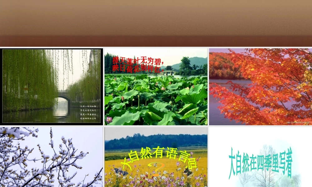 八年级语文上册 16(大自然的语言)(第1课时)课件 (新版)新人教版 课件