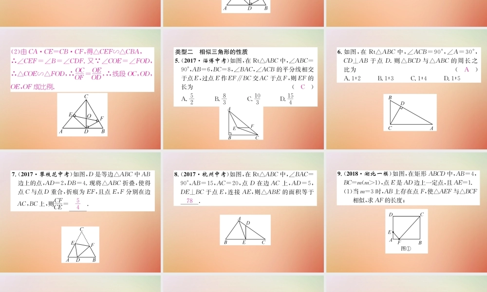 九年级数学上册 第4章 图形的相似本章知识分类强化作业课件 (新版)北师大版 课件