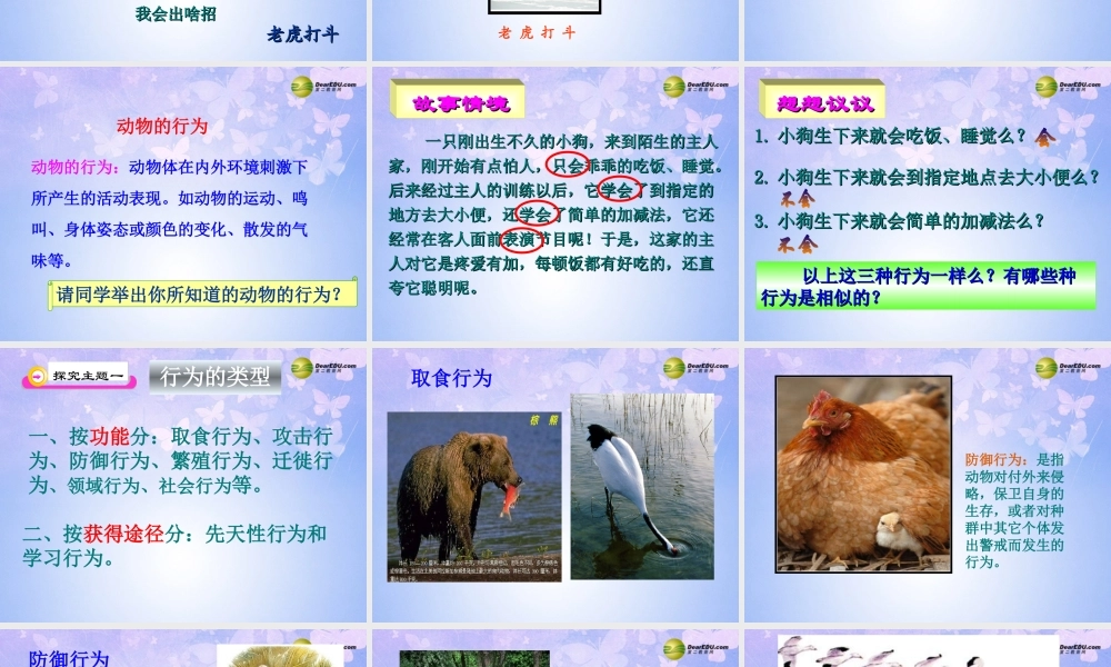 八年级生物上册 第五单元 第二章 第二节 先天性行为和学习行为课件 新人教版 课件