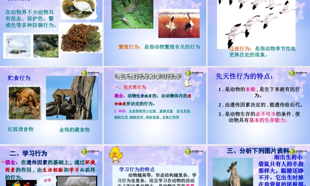 八年级生物上册 第五单元 第二章 第二节 先天性行为和学习行为课件 新人教版 课件