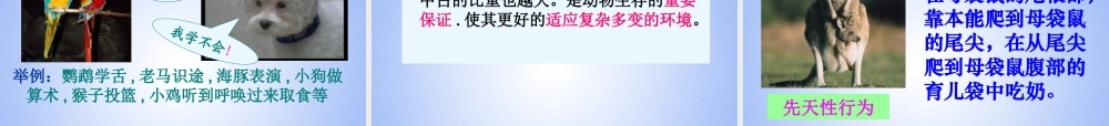 八年级生物上册 第五单元 第二章 第二节 先天性行为和学习行为课件 新人教版 课件
