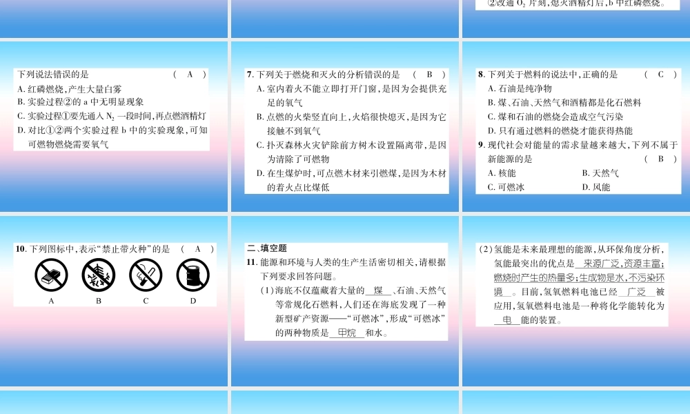 中考化学复习 第1编 教材知识梳理篇 第7单元 燃料及其利用(精练)课件