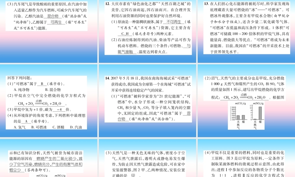 中考化学复习 第1编 教材知识梳理篇 第7单元 燃料及其利用(精练)课件