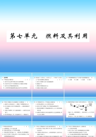中考化学复习 第1编 教材知识梳理篇 第7单元 燃料及其利用(精练)课件