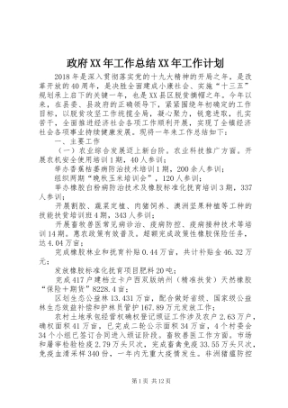 政府XX年工作总结XX年工作计划