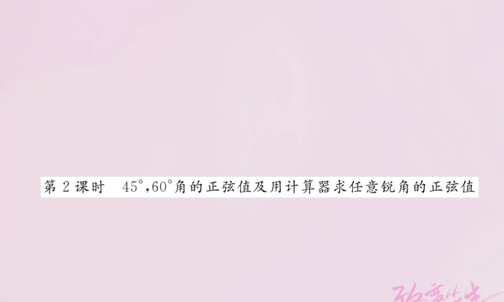 九年级数学上册 41 正弦和余弦(第2课时)45°，60°角的正弦值及用计算器求任意锐角的正弦值练习课件 (新版)湘教版 课件
