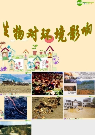 七年级生物上册 第1章第3节生物对环境的影响 苏科版 课件