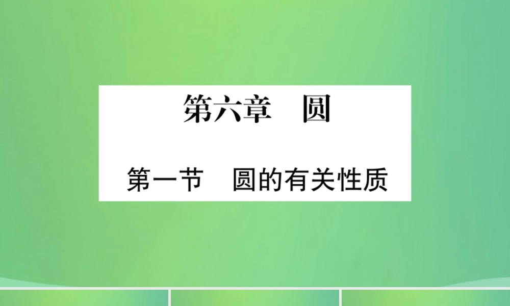 中考数学复习 第一轮 考点系统复习 第六章 圆 第一节 圆的有关性质(精讲)课件