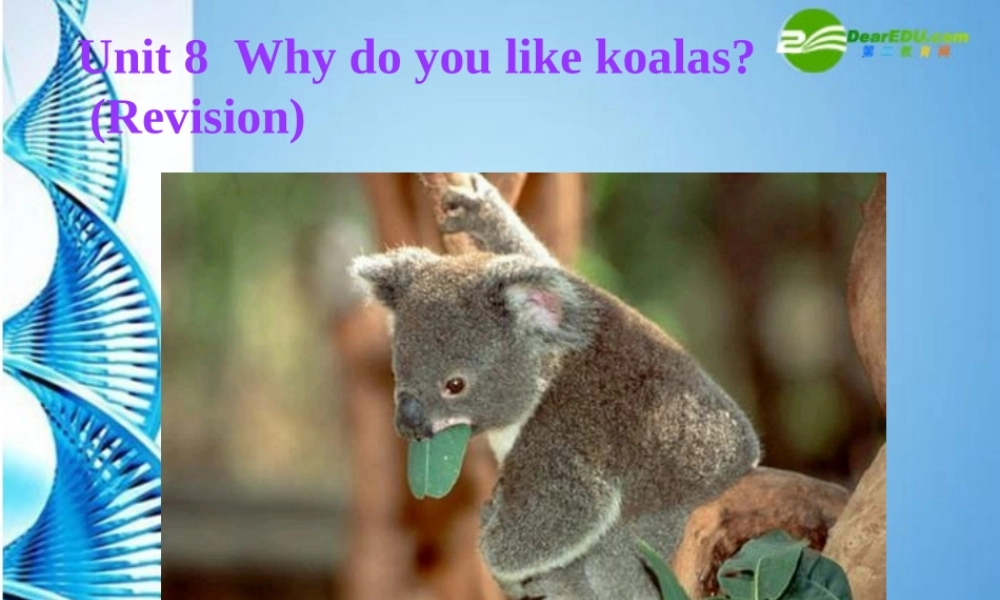 七年级英语下册 Unit8 Revision课件 人教新目标版 课件
