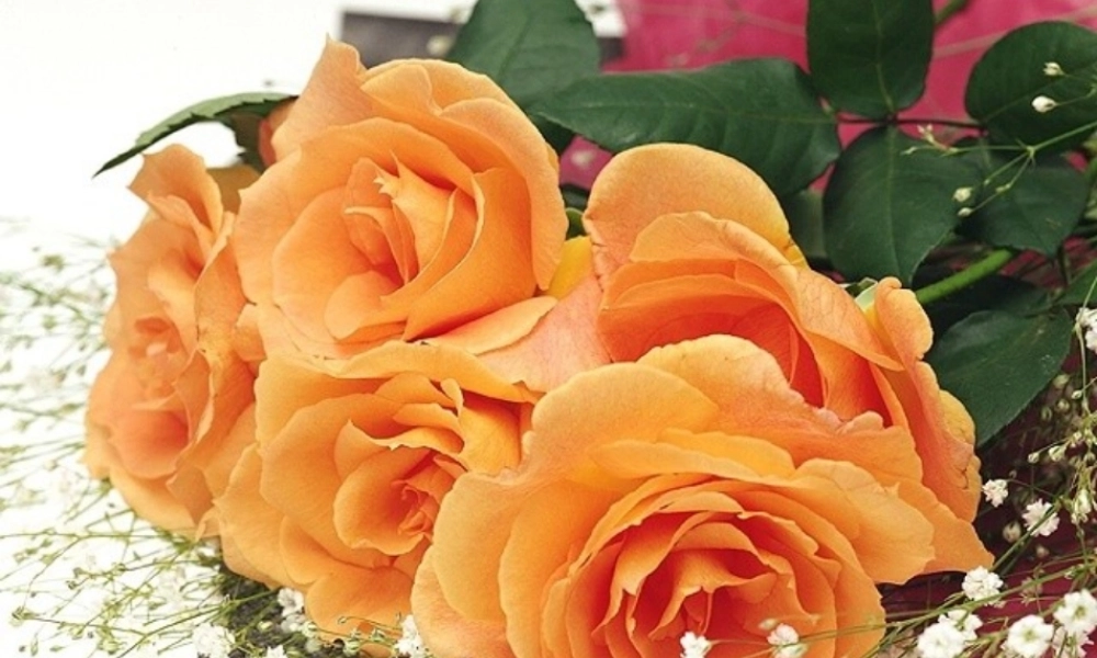 八年级历史下册 第5课 三大改造课件 新人教版 课件