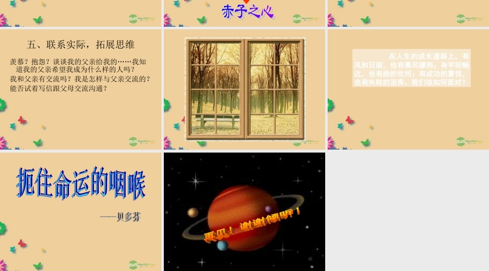 九年级语文上册(第7课 傅雷家书两则)课件 新人教版 课件