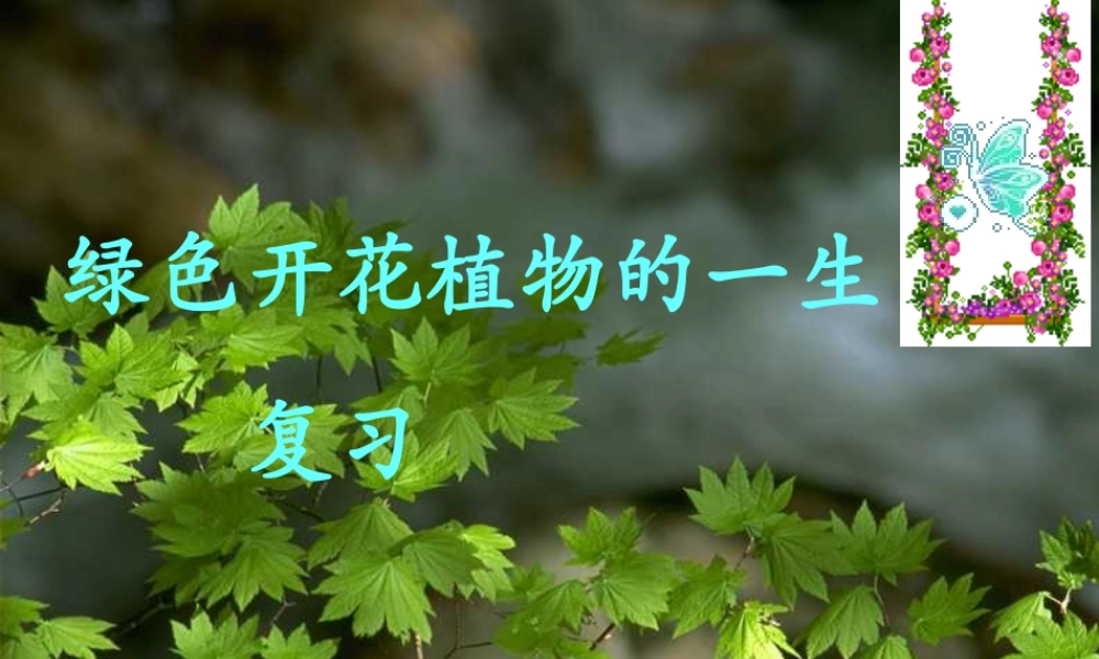 七年级生物上册：第3单元第5章绿色植物的一生复习课件 苏教版 课件