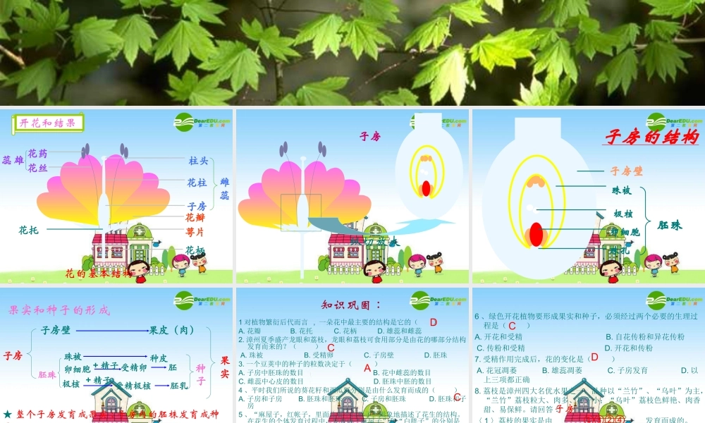 七年级生物上册：第3单元第5章绿色植物的一生复习课件 苏教版 课件