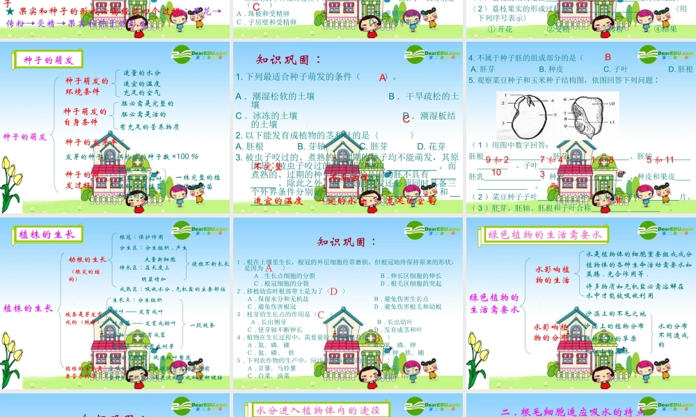 七年级生物上册：第3单元第5章绿色植物的一生复习课件 苏教版 课件