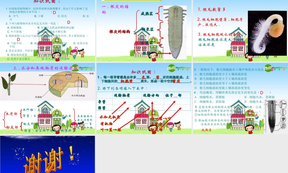 七年级生物上册：第3单元第5章绿色植物的一生复习课件 苏教版 课件