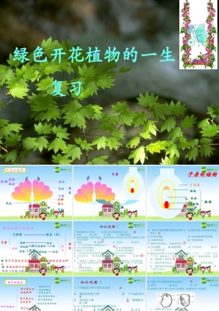 七年级生物上册：第3单元第5章绿色植物的一生复习课件 苏教版 课件