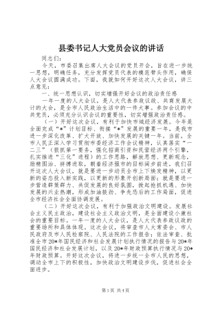 县委书记人大党员会议的讲话