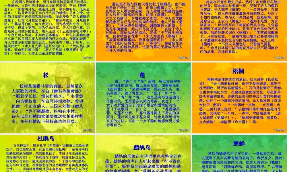 人教版高一语文古诗鉴赏技巧点拨 课件