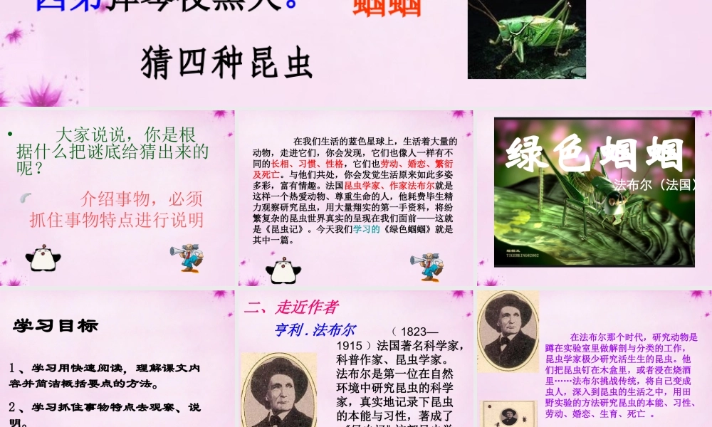 七年级语文上册 第五单元 第23课(绿色蝈蝈)课件 (新版)新人教版 课件