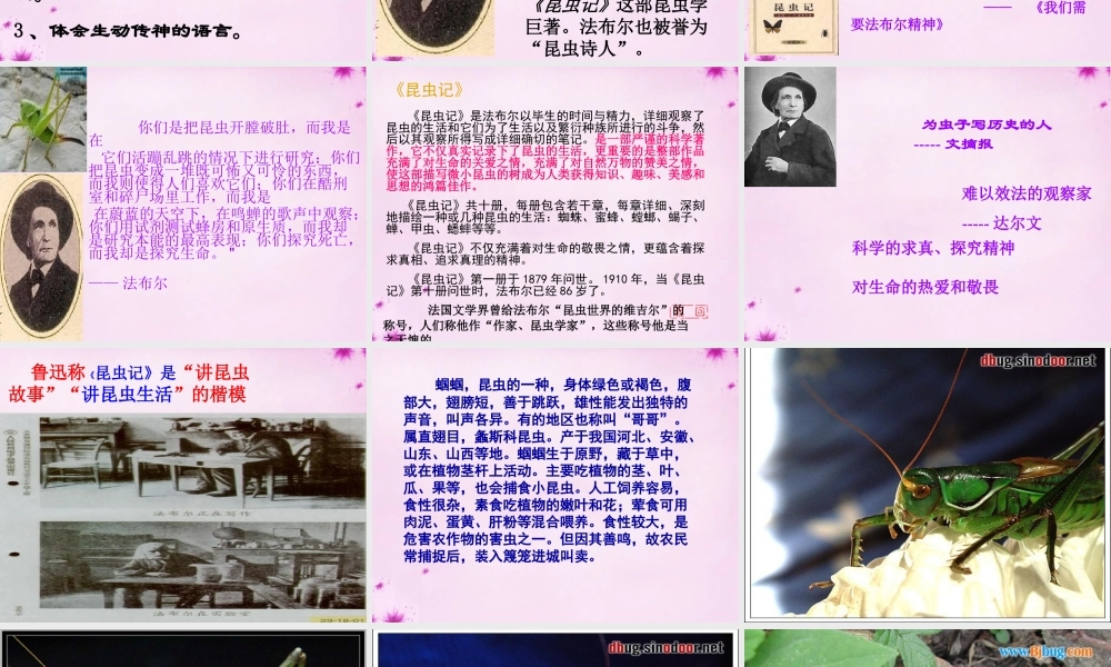 七年级语文上册 第五单元 第23课(绿色蝈蝈)课件 (新版)新人教版 课件