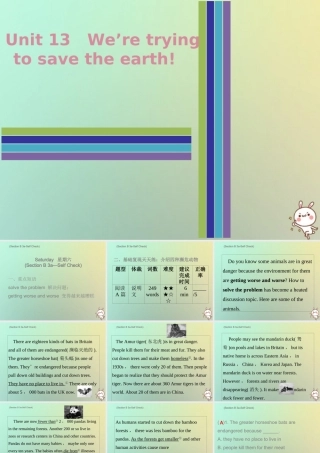 九年级英语全册 Unit 13 We re trying to save the earth Saturday复现式周周练课件 (新版)人教新目标版 课件
