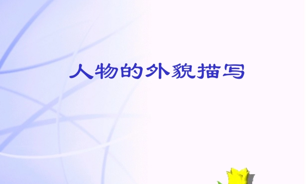 九年级语文中考 外貌描写(一)课件人教版 课件