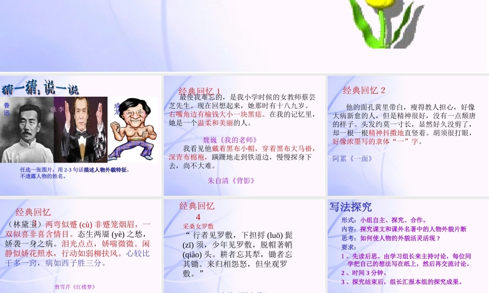 九年级语文中考 外貌描写(一)课件人教版 课件