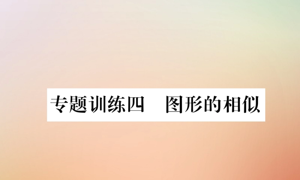 九年级数学上册 第4章 图形的相似 专题训练四 图形的相似作业课件 (新版)北师大版 课件