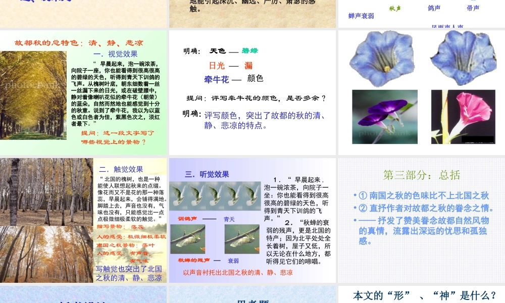 中学第三单元课件全集 人教版