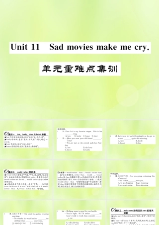 九年级英语全册 Unit 11 Sad movies make me cry重难点集训习题课件 (新版)人教新目标版 课件