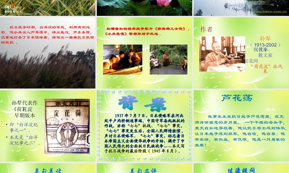 中学八年级语文上册 2 芦花荡课件 新人教版