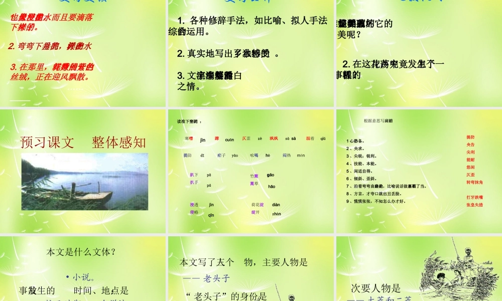 中学八年级语文上册 2 芦花荡课件 新人教版