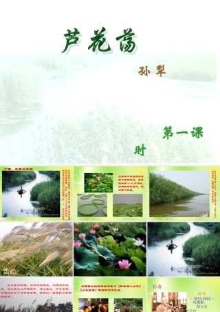 中学八年级语文上册 2 芦花荡课件 新人教版