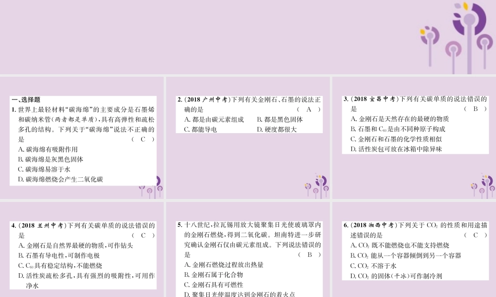 中考化学总复习 第1编 主题复习 模块1 身边的化学物质 课时2 碳和碳的氧化物(精练)课件