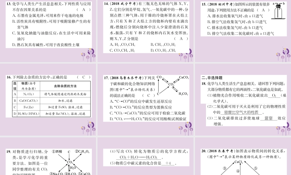 中考化学总复习 第1编 主题复习 模块1 身边的化学物质 课时2 碳和碳的氧化物(精练)课件