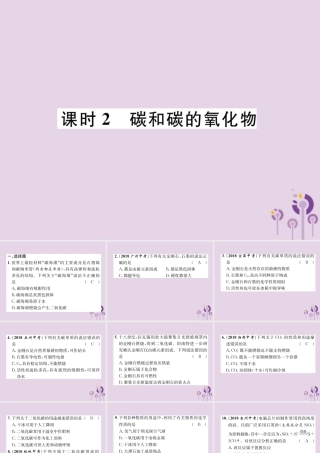 中考化学总复习 第1编 主题复习 模块1 身边的化学物质 课时2 碳和碳的氧化物(精练)课件