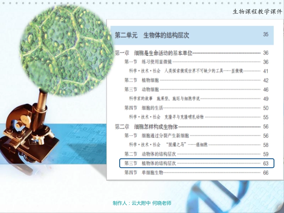 七年级生物上册 植物体的结构层次课件(pdf) 新人教版 课件_第1页