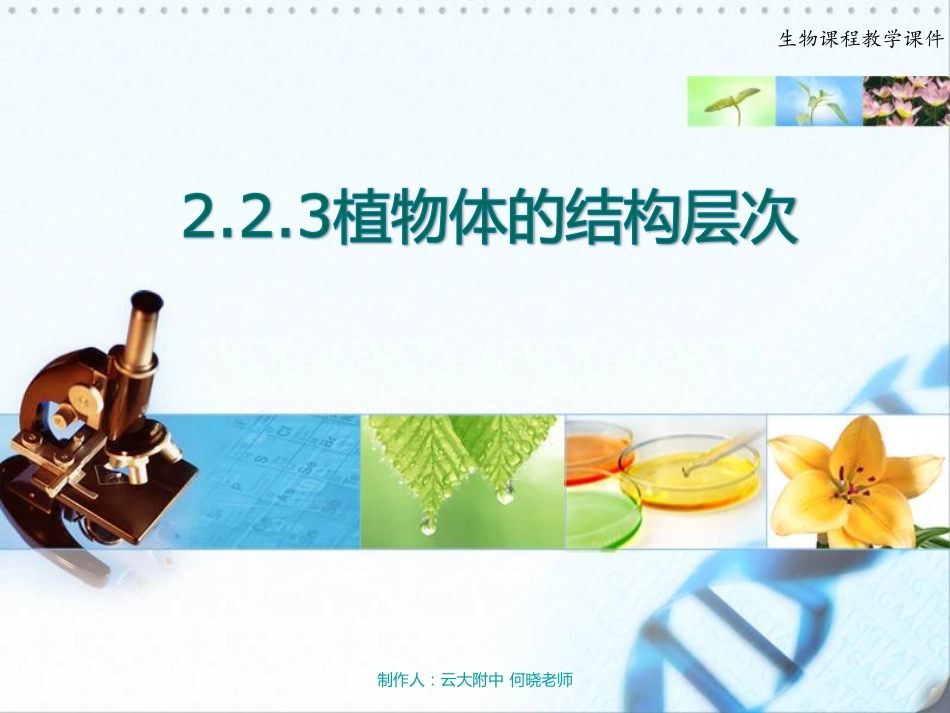 七年级生物上册 植物体的结构层次课件(pdf) 新人教版 课件_第2页