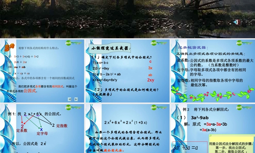 七年级数学下册 2.2(提公因式法分解因式)课件 北师大版 课件