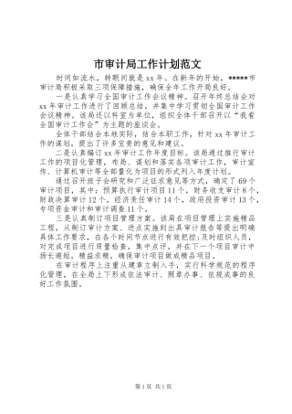 市审计局工作计划范文