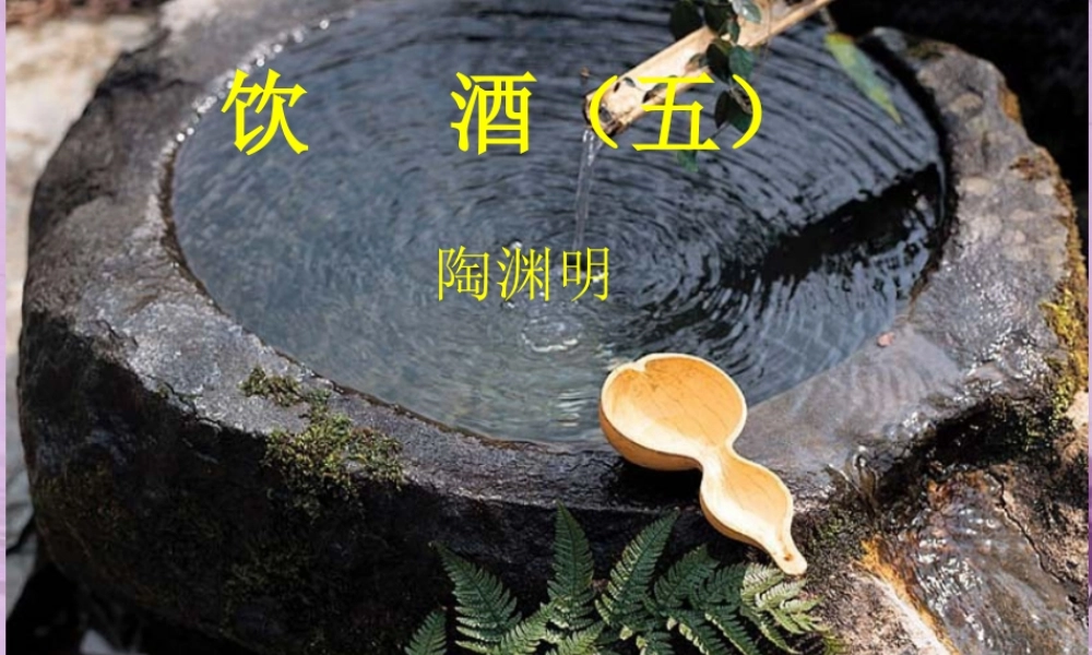 八年级语文下册 (饮酒)课件 人教新课标版 课件