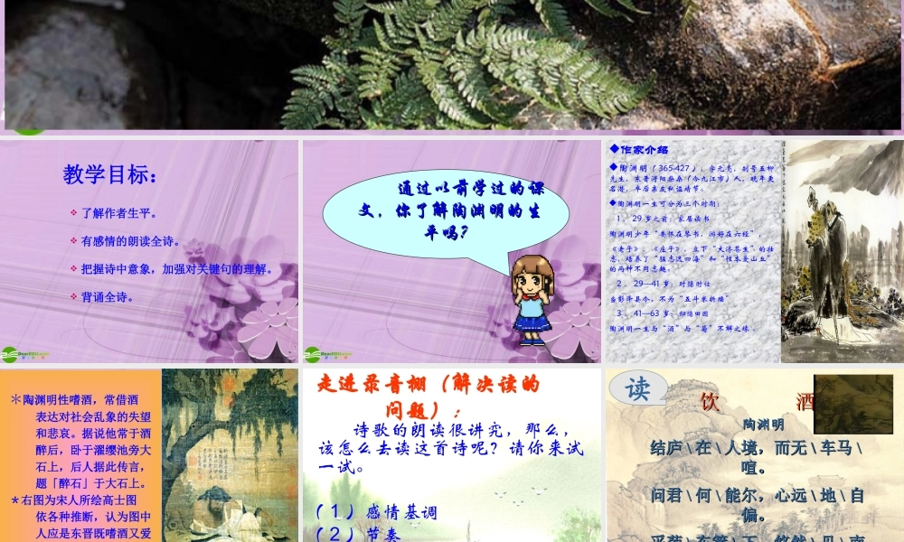 八年级语文下册 (饮酒)课件 人教新课标版 课件