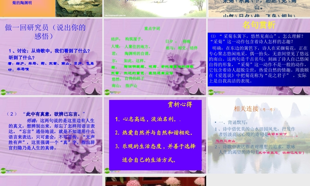 八年级语文下册 (饮酒)课件 人教新课标版 课件