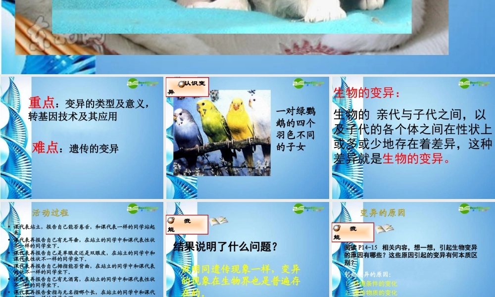 八年级生物下册 第21章第2节生物的变异复习课件 苏科版 课件