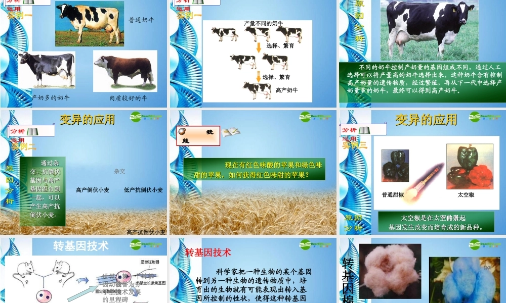 八年级生物下册 第21章第2节生物的变异复习课件 苏科版 课件